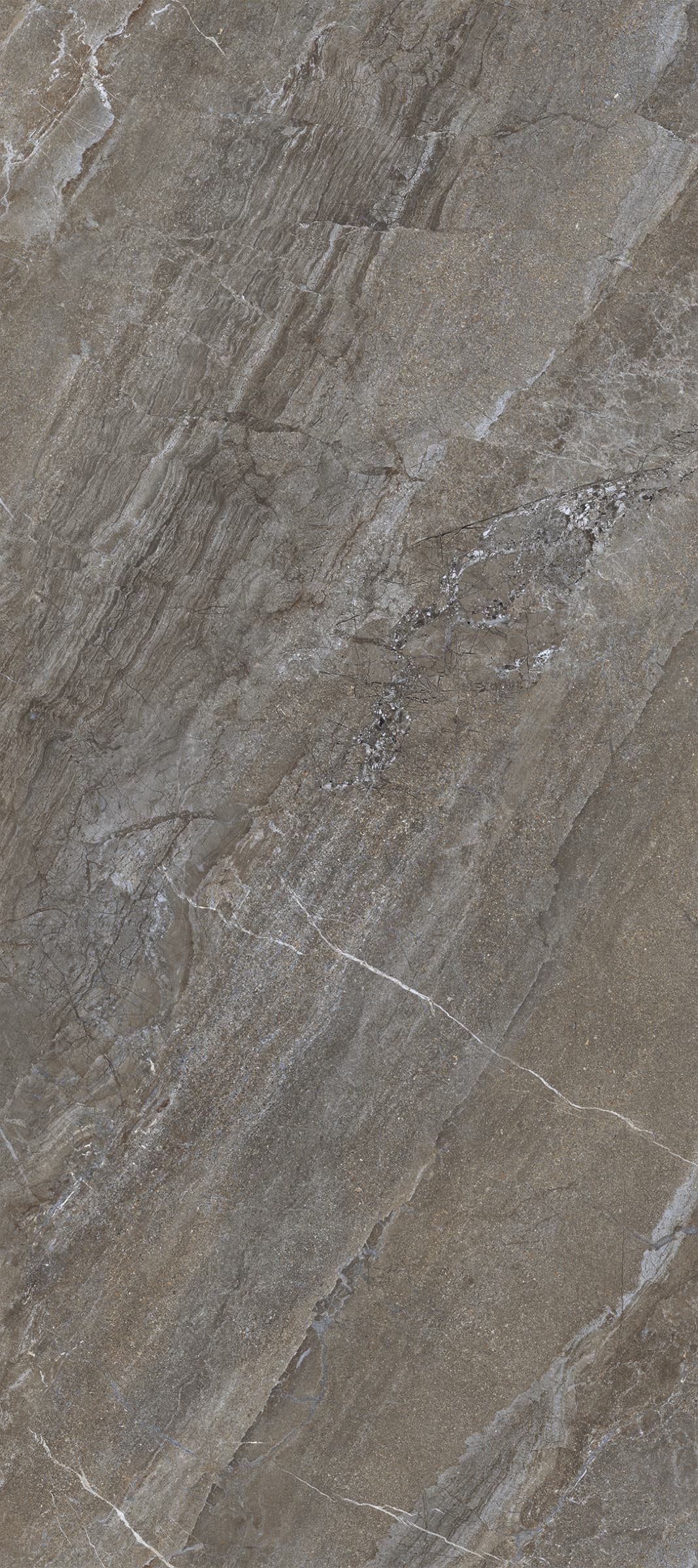 阿嘉莎棕